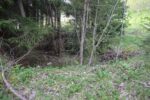 hkb_18-974_purkneset_2025_064