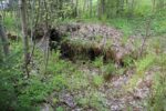 hkb_18-974_purkneset_2025_074
