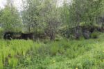 hkb_18-974_purkneset_2025_079
