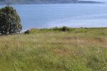 hkb_18-976_gossen-sued_2023_003