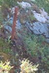 hkb_19-972_brensholmen_2023_101