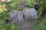 hkb_19-974_nesna_2025_003