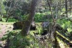 hkb_19-974_nesna_2025_005