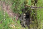 hkb_19-979_landehovden_2023_005