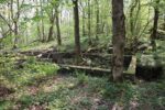 hkb_19-979_landehovden_2023_046