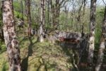 hkb_19-979_landehovden_2023_143