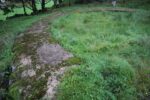 hkb_19-979_skadberg_2025_007