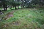 hkb_19-979_skadberg_2025_010