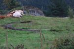 hkb_19-979_skadberg_2025_012