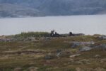 hkb_2-478_buygoenes_2025_066
