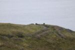 hkb_2-971_honnigsvaag_2023_003