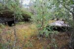 hkb_20-972_ansnes_2023_010