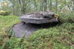hkb_20-972_ansnes_2023_012