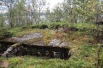 hkb_20-972_ansnes_2023_014