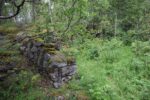 hkb_20-972_ansnes_2023_038