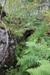 hkb_20-972_ansnes_2023_039