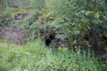 hkb_20-972_ansnes_2023_054