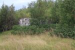 hkb_20-972_ansnes_2023_055