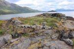 hkb_20-972_ansnes_2023_063
