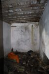 hkb_21-972_roedberghamn_2023_019