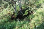 hkb_21-972_roedberghamn_2023_062