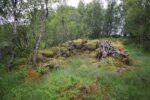 hkb_21-974_fagerviken_2023_003