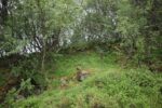hkb_21-974_fagerviken_2023_005
