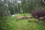 hkb_21-974_fagerviken_2023_042