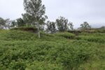 hkb_21-974_fagerviken_2023_069