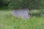 hkb_21-974_fagerviken_2023_101