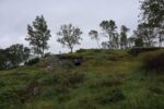 hkb_21-974_fagerviken_2023_156
