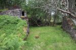 hkb_21-975_hevnskjoel-sued_2024_096