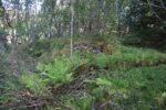 hkb_22-972_berg-senja_2023_078