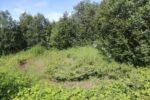 hkb_22-974_lund_2023_006