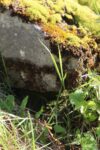 hkb_22-974_lund_2025_054