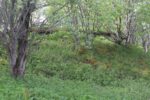hkb_22-974_lund_2025_082