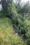 hkb_23-972_grunnreisa_2023_001