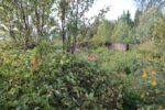 hkb_23-972_grunnreisa_2023_002