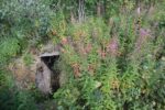 hkb_23-972_grunnreisa_2023_013