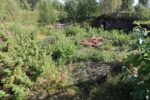 hkb_23-972_grunnreisa_2023_024