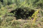 hkb_23-972_grunnreisa_2023_050