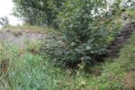 hkb_23-976_helland_2025_018