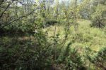 hkb_24-972_finnlandsnes_2023_001