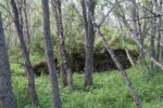 hkb_24-972_finnlandsnes_2023_009