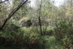 hkb_24-972_finnlandsnes_2023_013