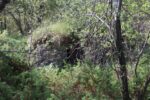 hkb_24-972_finnlandsnes_2023_014