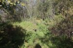 hkb_24-972_finnlandsnes_2023_029