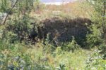 hkb_24-972_finnlandsnes_2023_060