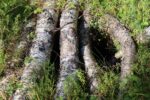 hkb_24-972_finnlandsnes_2023_075