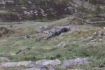 hkb_24-978_farsund-einarneset_2023_010